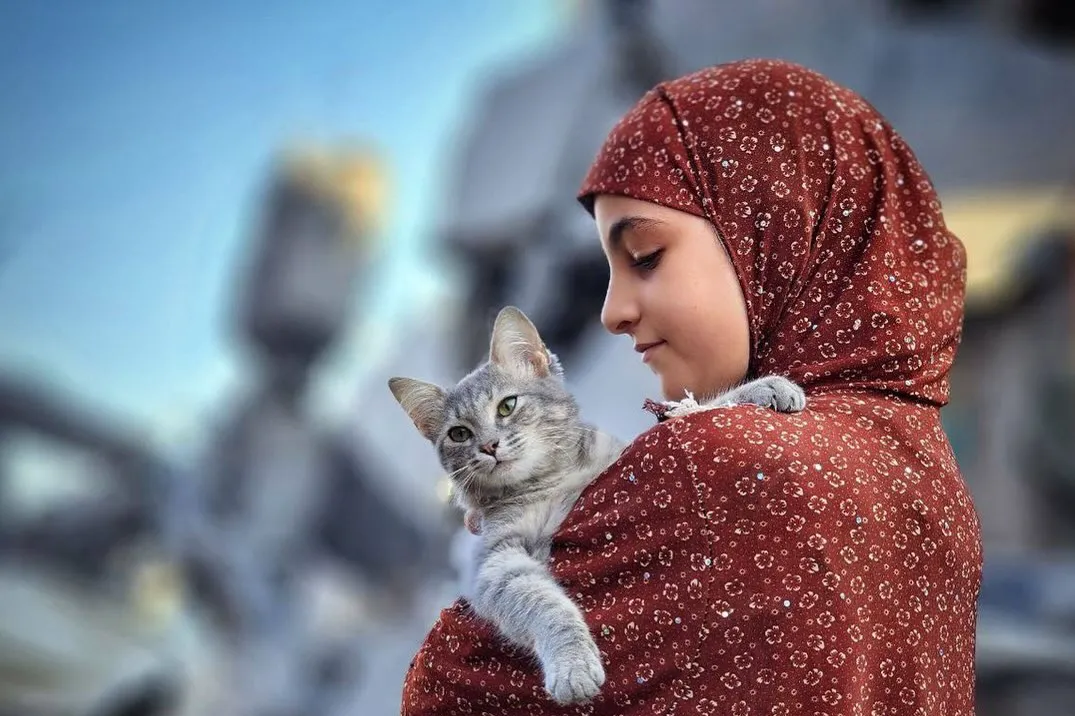 من نحن؟